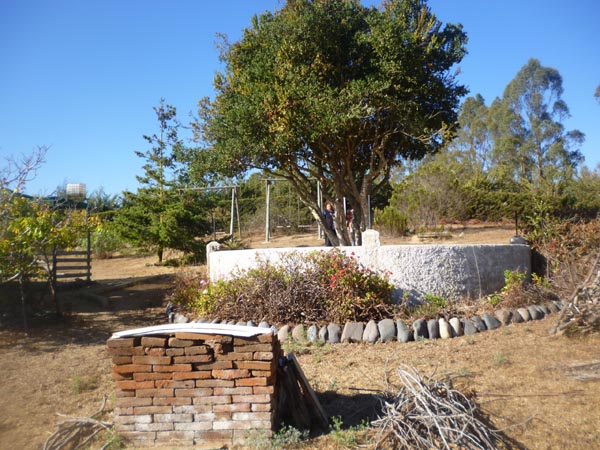 P1040069