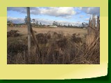 IMG_20220708_160735