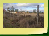IMG_20220708_160738_1