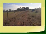 IMG_20220614_123028