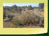 IMG_20220614_123032