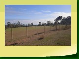 IMG_20220614_123049