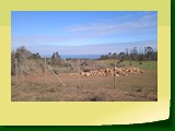IMG_20220614_123051