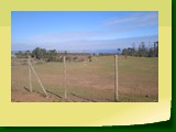 IMG_20220614_123140
