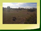IMG_20220614_123206