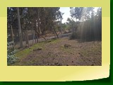 IMG_20220614_123353