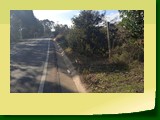 IMG_20220614_123452