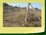 IMG_20220614_123719_1