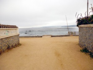P1000415