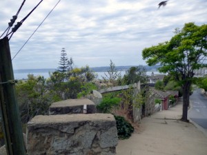 P1000428