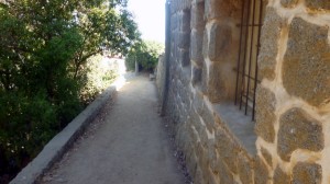 P1010448