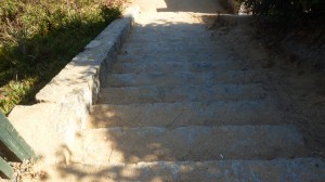 P1010451