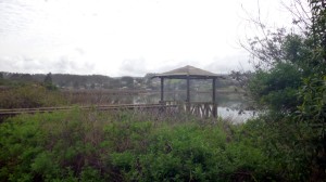 P1010844