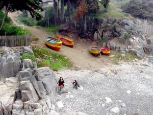 Caleta