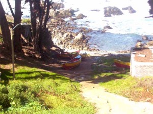caleta las cruces1