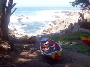 caleta las cruces2