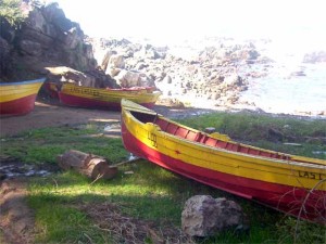 caleta las cruces3