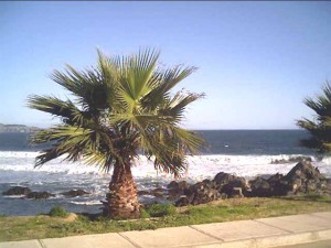 las cruces2